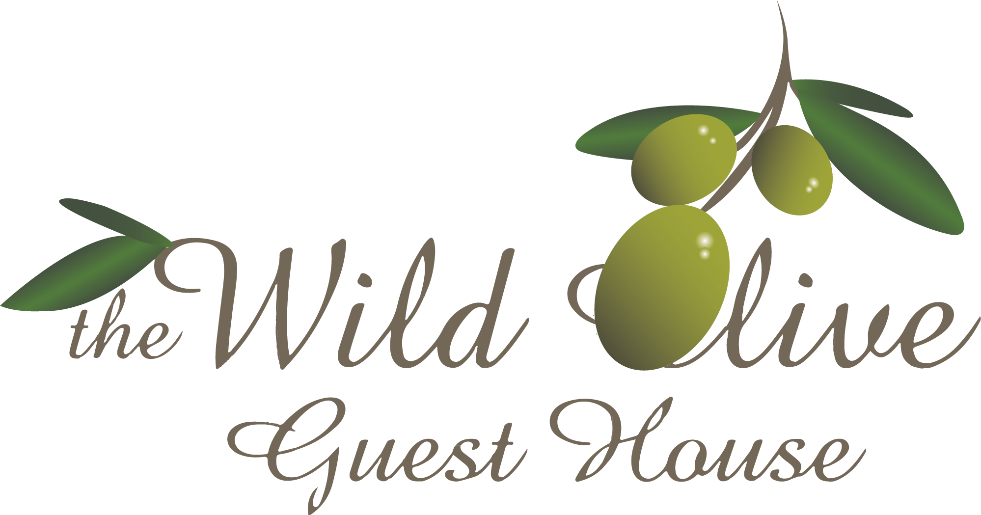 The Wild Olive Guest House