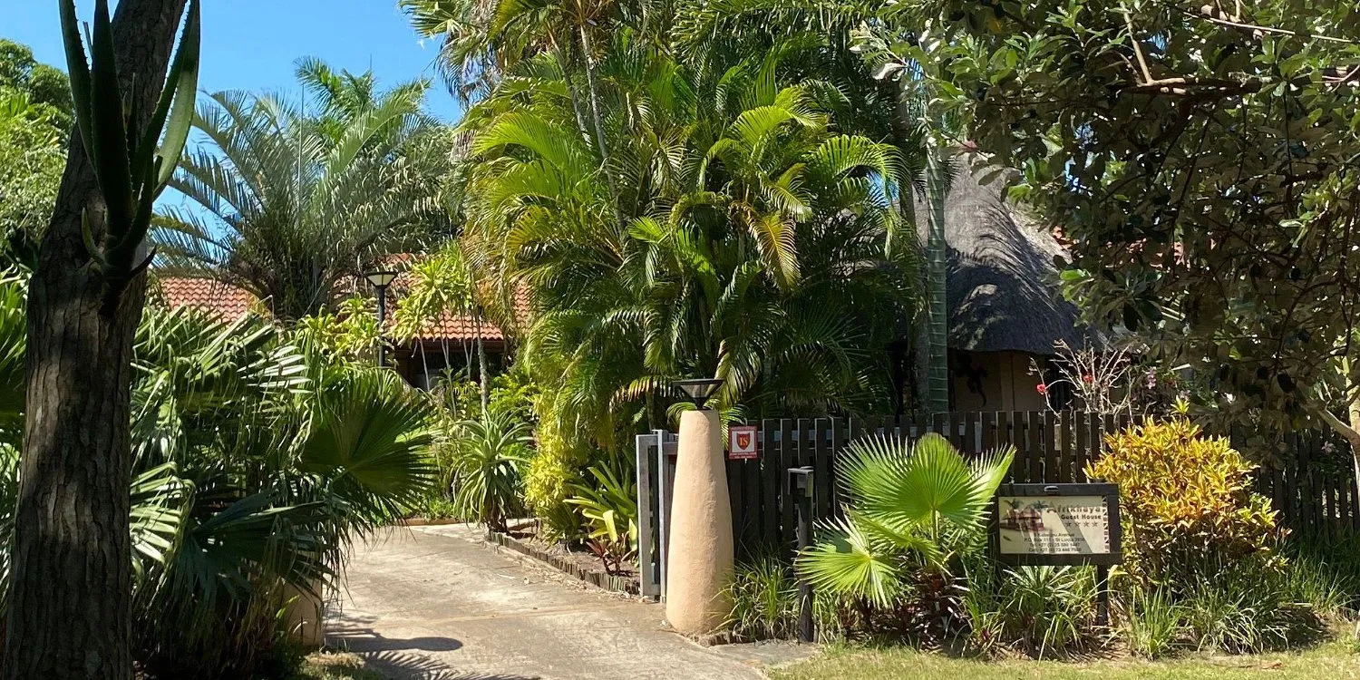 Tropical garden with palm trees and a pathway leading to a house