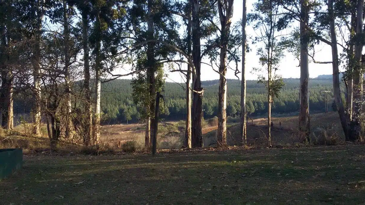 Mac Mac Forest Retreat
