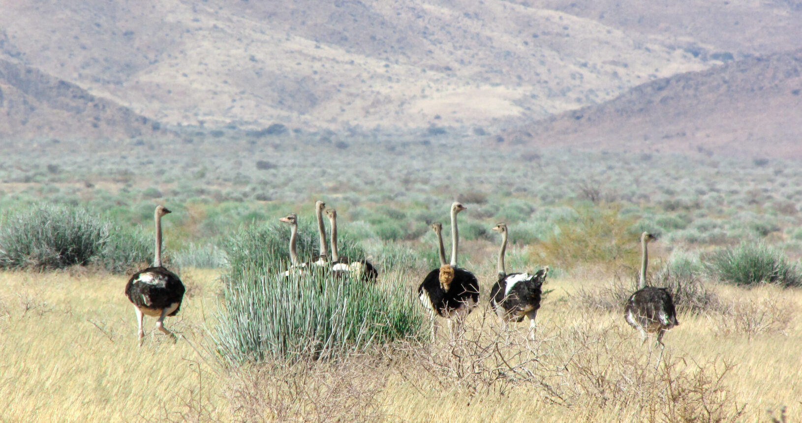 Mount Canyon Guest Farm