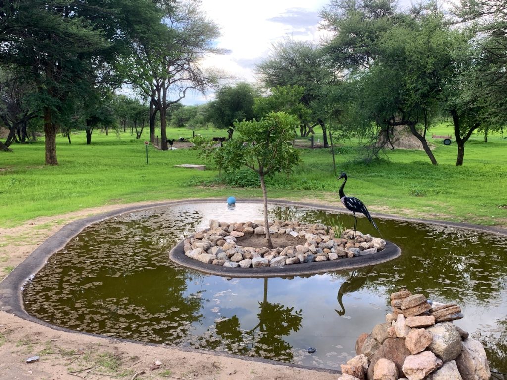 Otjibamba Safari Lodge in Otjiwarongo