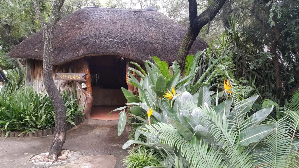 A thatched hut surrounded by lush greenery and large plants