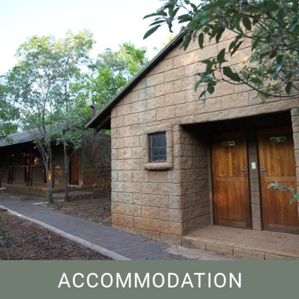 Rotsinbos Bush Camp & Lodge