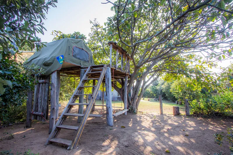 Treehouse with a ladder in a sunny leafy outdoor setting