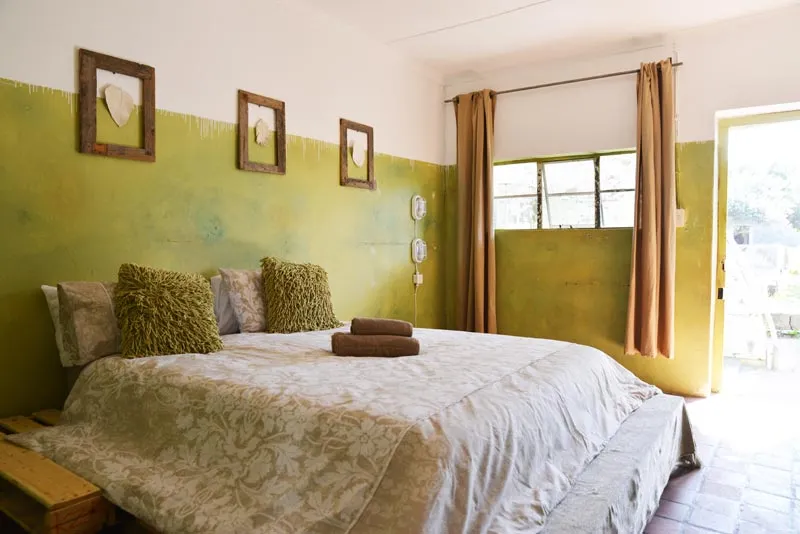 Cozy bedroom with green walls large bed and open door to outside