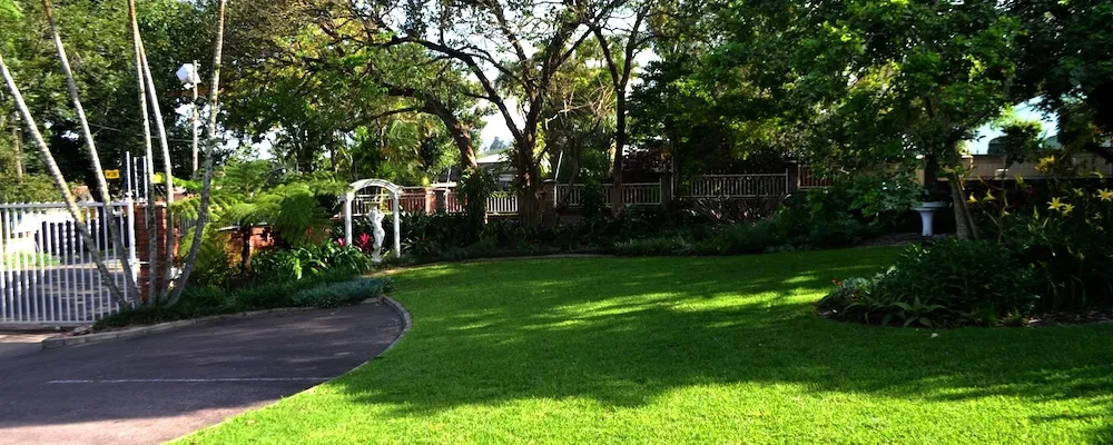 Lush green lawn with trees and a white gate in a garden setting