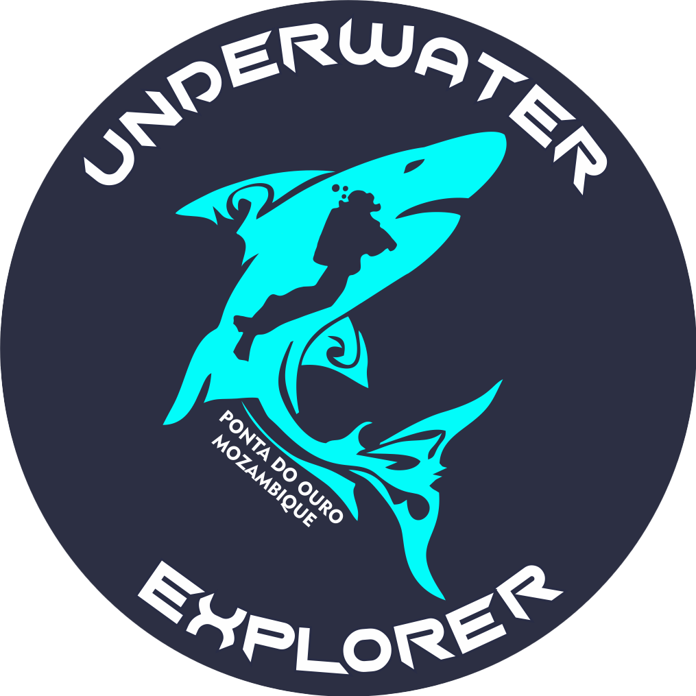 Underwater Explorers in Ponta Do Ouro