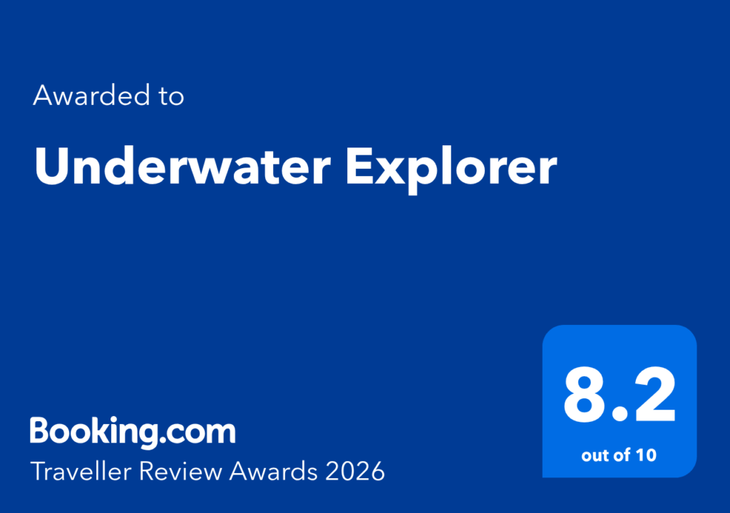 Underwater Explorers in Ponta Do Ouro 2