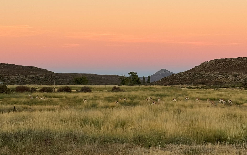 Rogge Cloof Private Nature Reserve