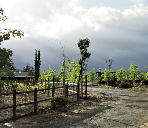 Rogge Cloof Private Nature Reserve