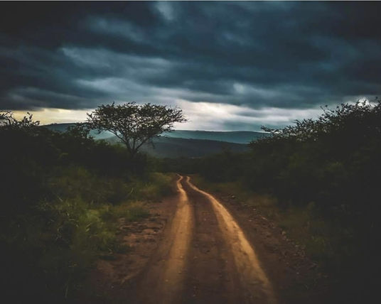 Somkhanda Game Reserve