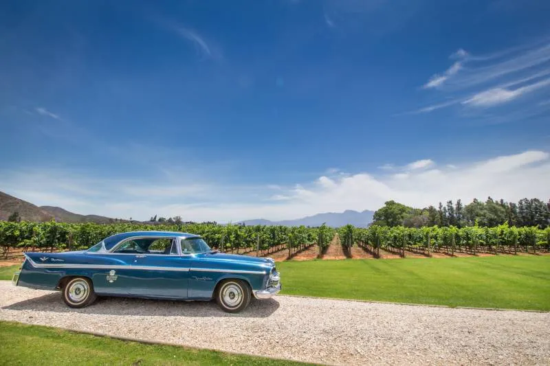Classic blue car parked on gravel near vineyard with mountains in background
