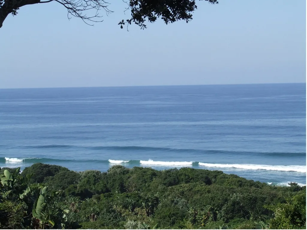 Ocean view with waves and green foliage under a clear blue sky