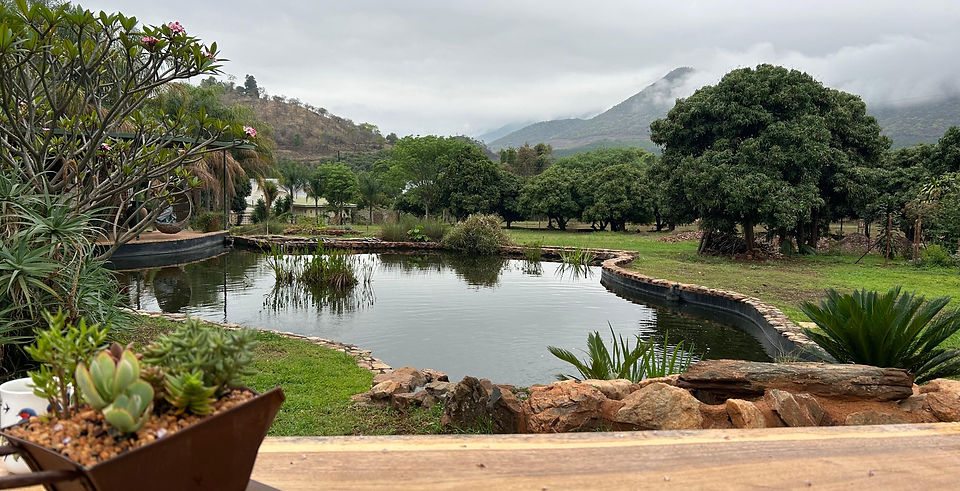 Cranko's Creek