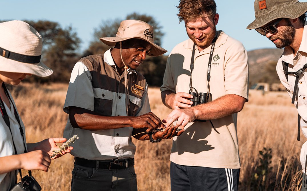 Gabus Safari Lodge