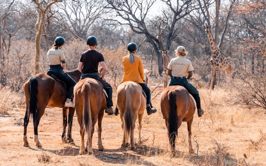 Gabus Safari Lodge