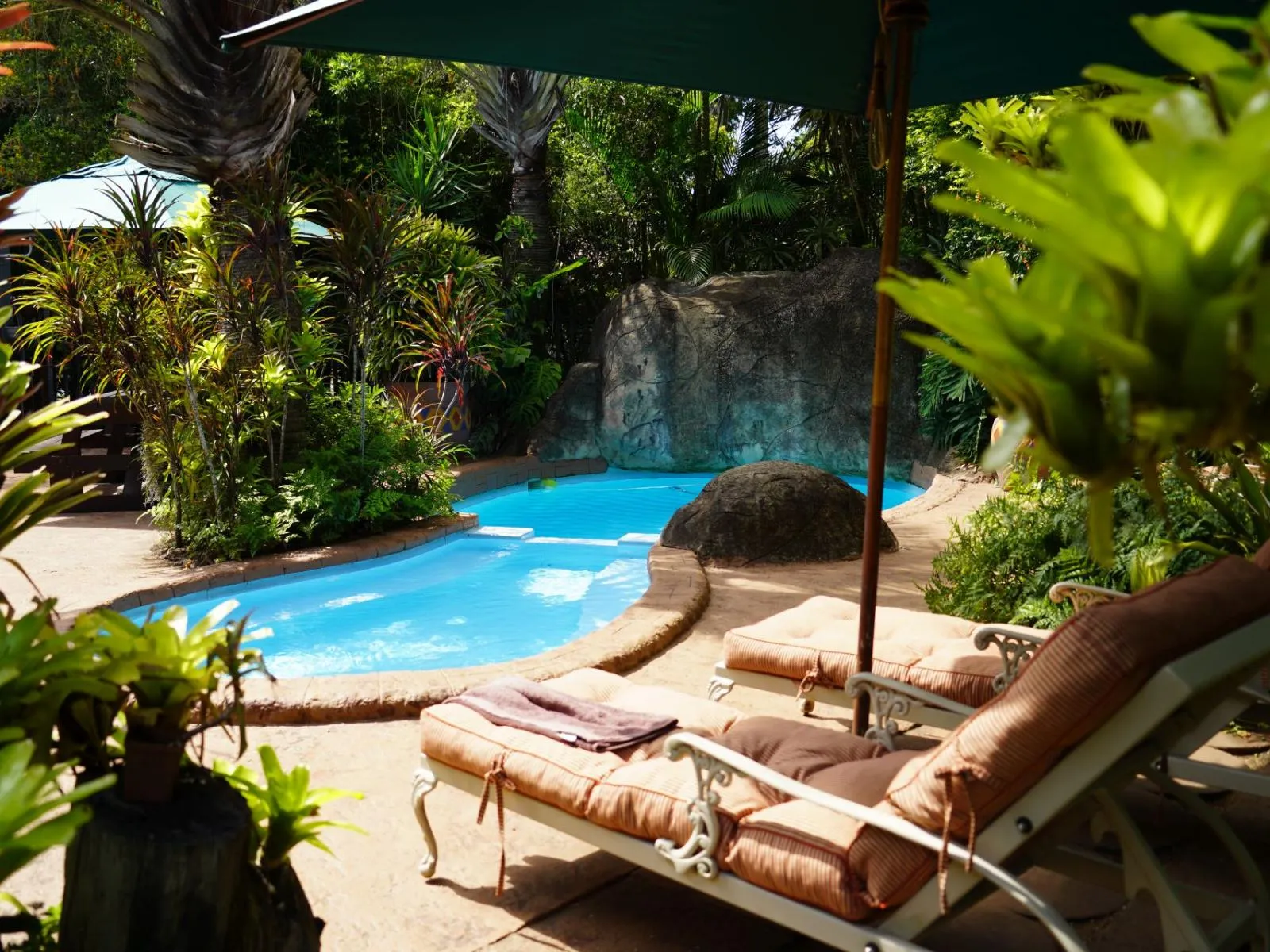 Tropical pool area with lounge chairs plants and a rock waterfall