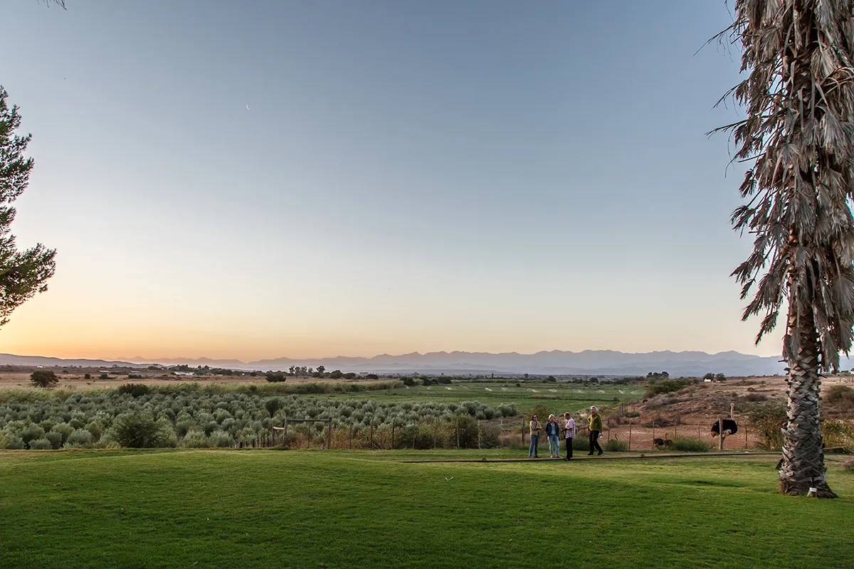 Group of people on a grassy field with trees and distant mountains at sunset
