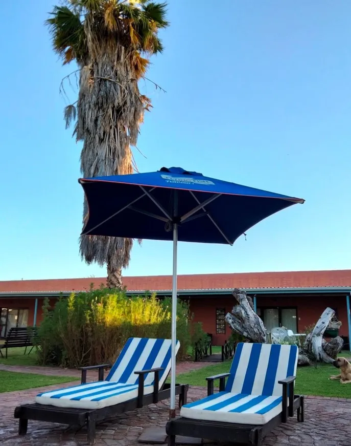 Two blue and white lounge chairs under an umbrella near a palm tree