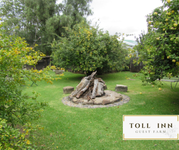 Toll Inn Guest Farm in Buffelsbadden 5
