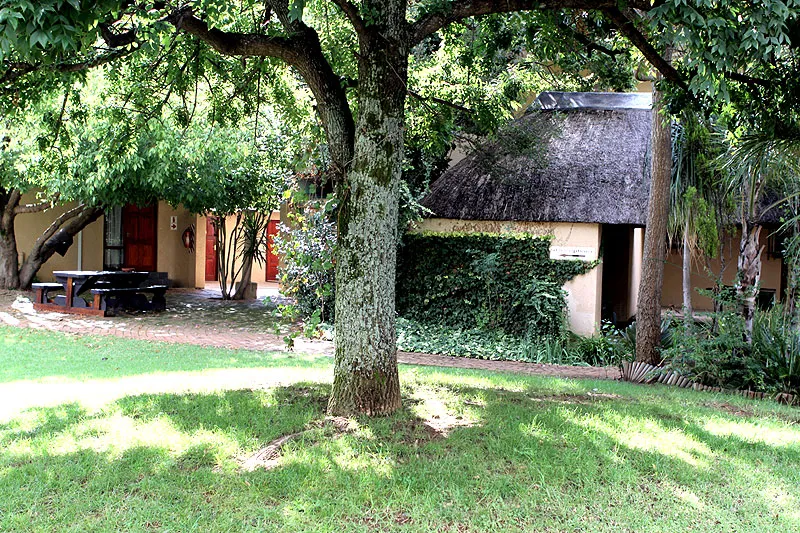A tree in front of a thatchedroof building with red doors and greenery