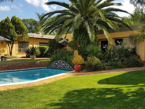 Swimming pool in a garden with palm trees and colorful plants