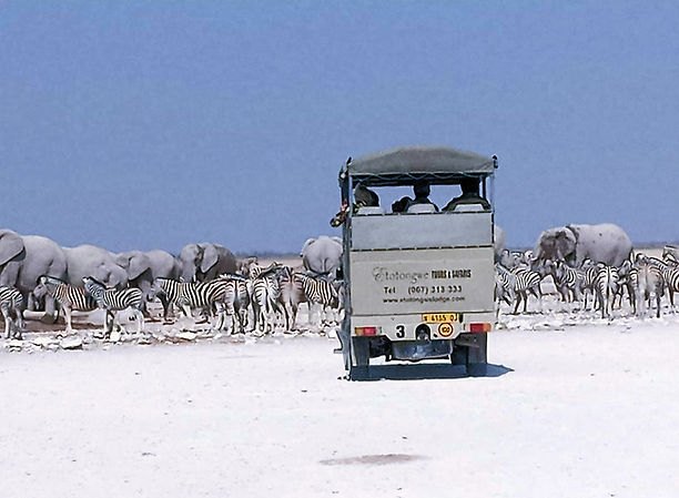 Etotongwe Lodge