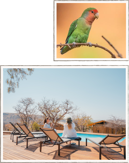 Ekoto Selfcatering Camp