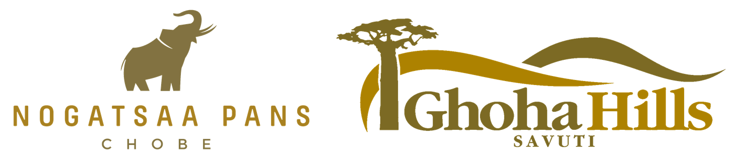 Nogatsaa Campsite