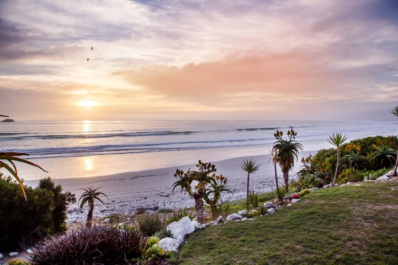 Sunset over a beach with palm trees and grassy area in the foreground