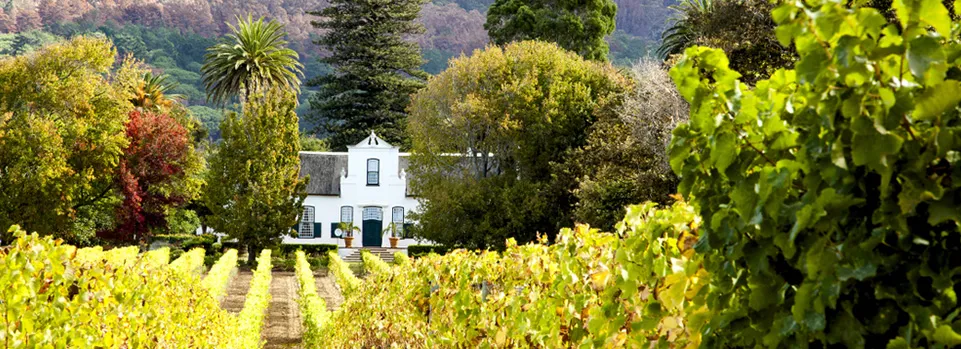 White house surrounded by lush greenery and vineyards in a scenic landscape