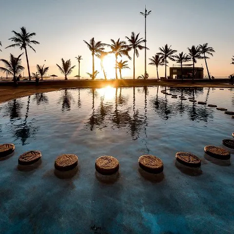 Sunset over a reflective pool with palm trees and stepping stones in a park
