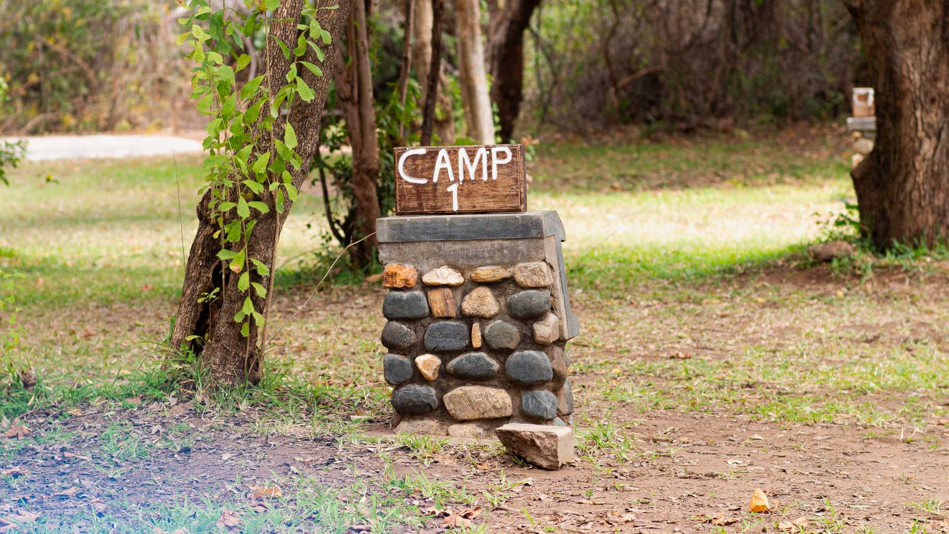 Kiambi Safari Lodge