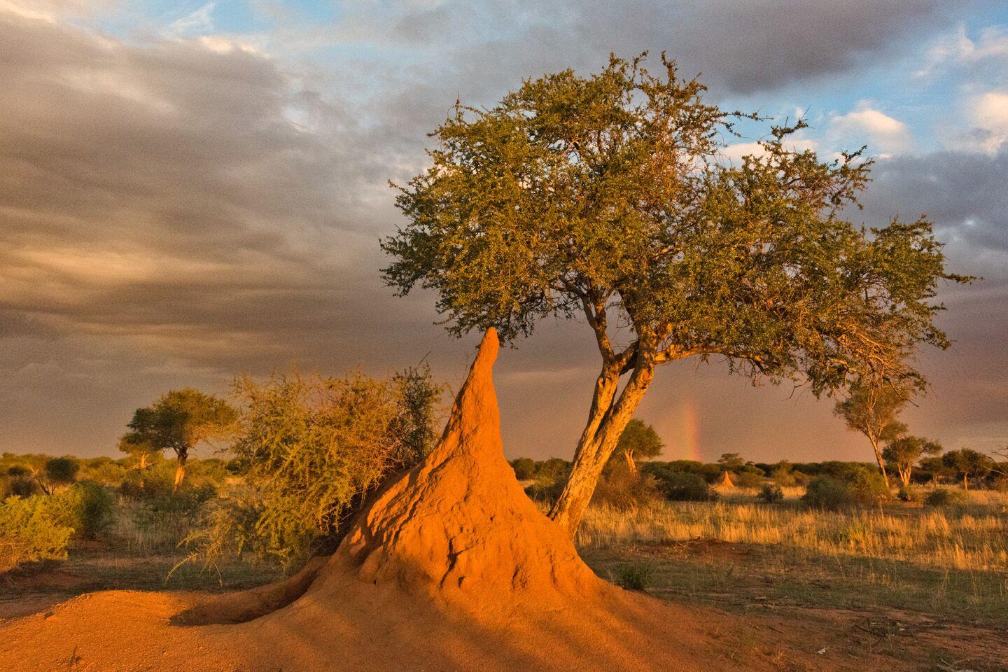 Khan River Lodge