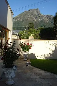 Potted roses on a patio with mountains in the background