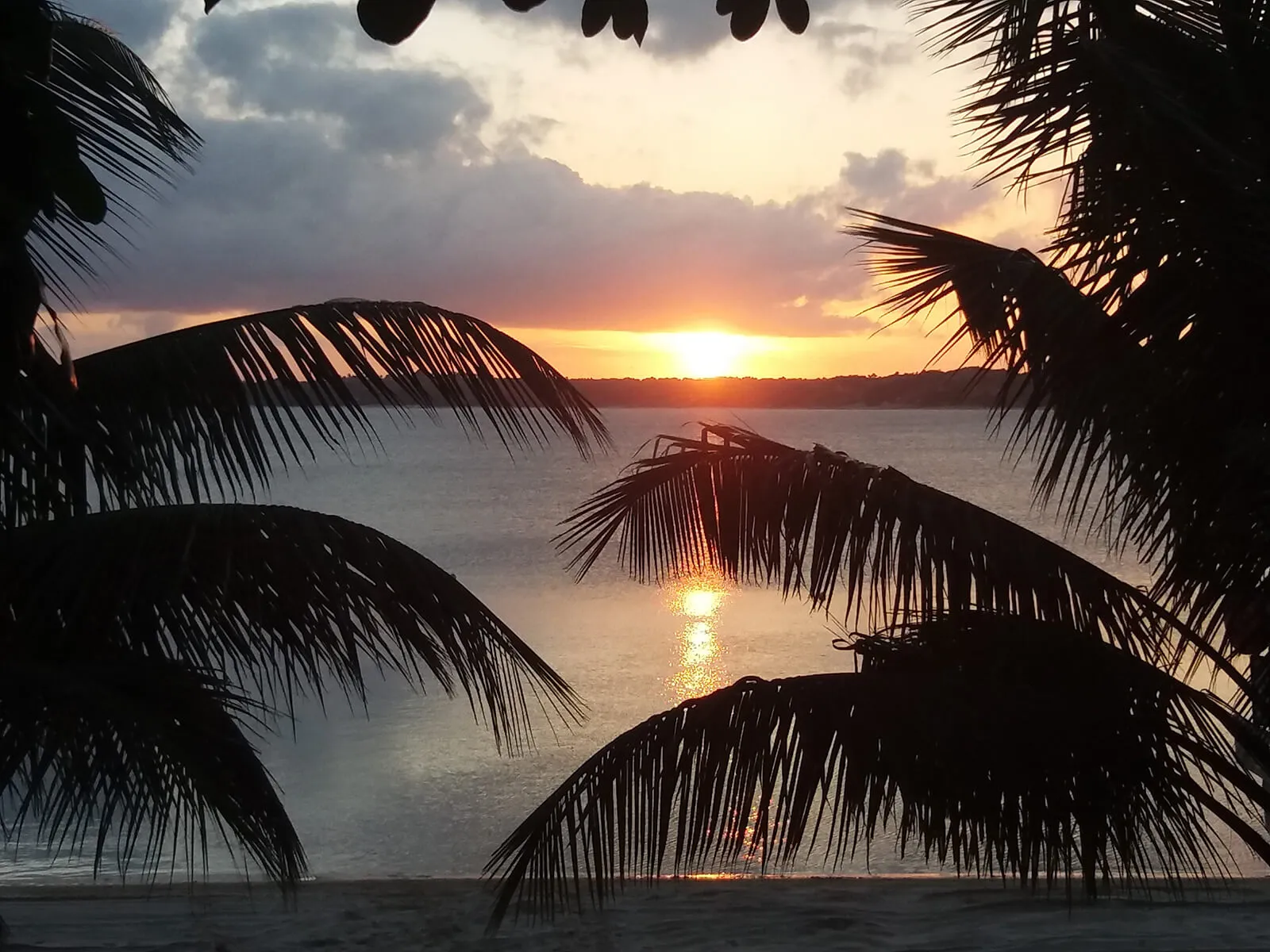 Sunset over water framed by palm trees at the beach