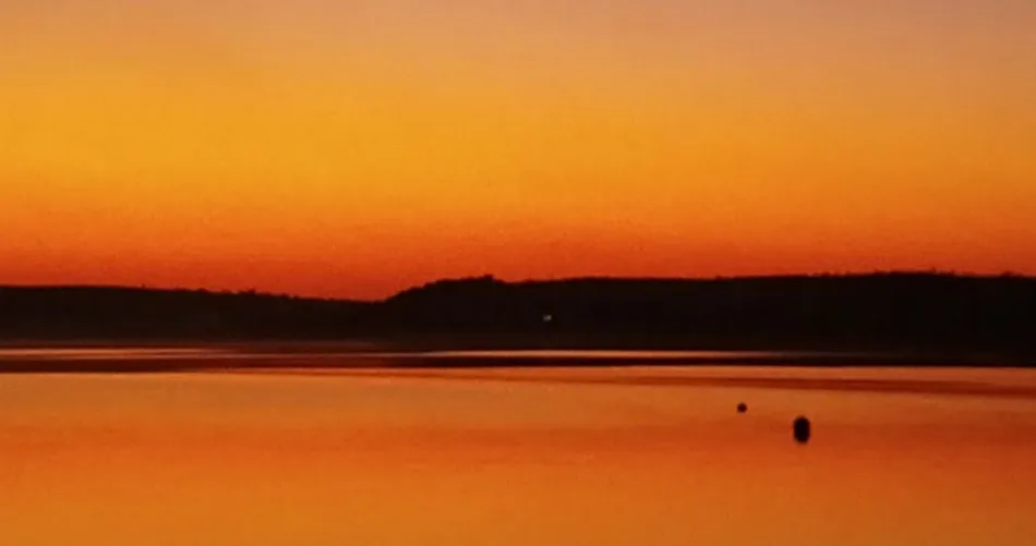 Sunset over a calm lake with silhouetted trees in the distance