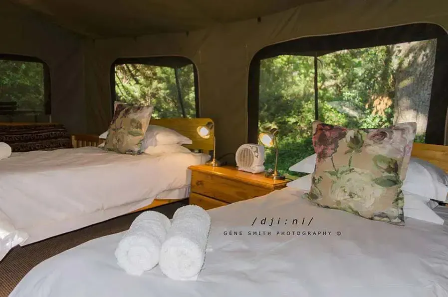 Two beds in a tent with floral pillows and a view of greenery outside