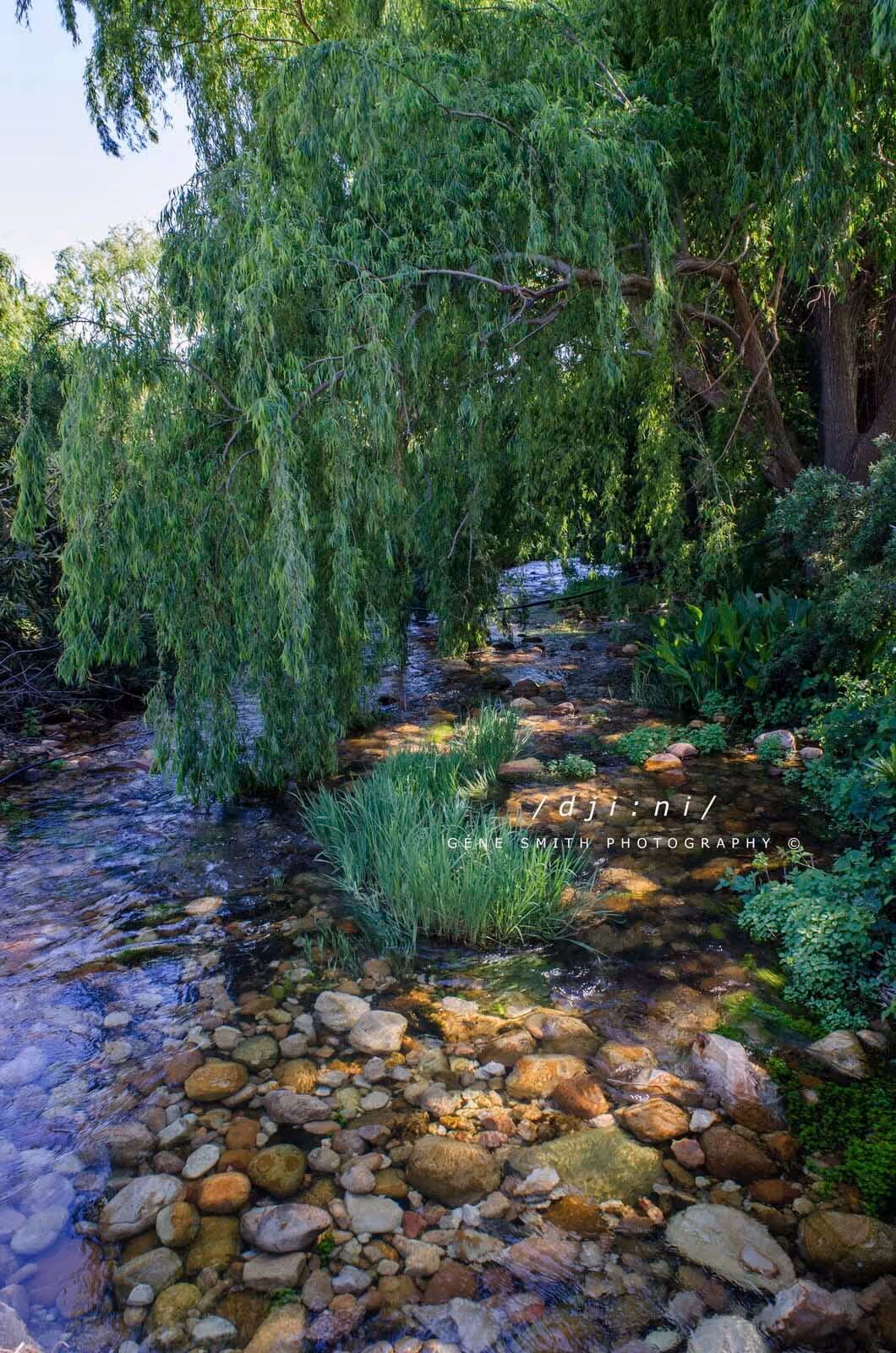 Slanghoek Mountain Resort