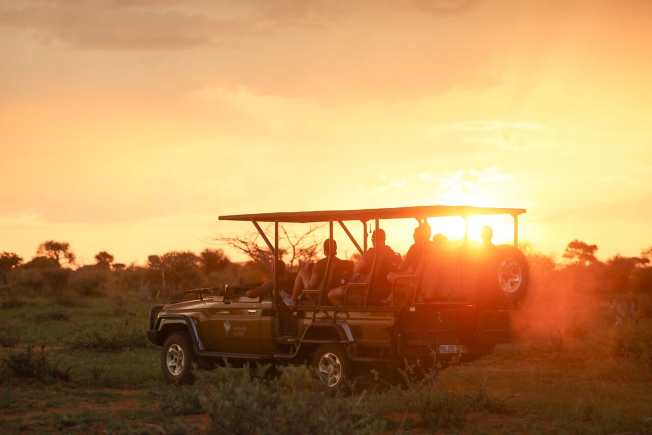 Molori Safari Lodge