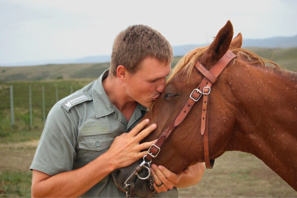 Garden Route Safari Camp