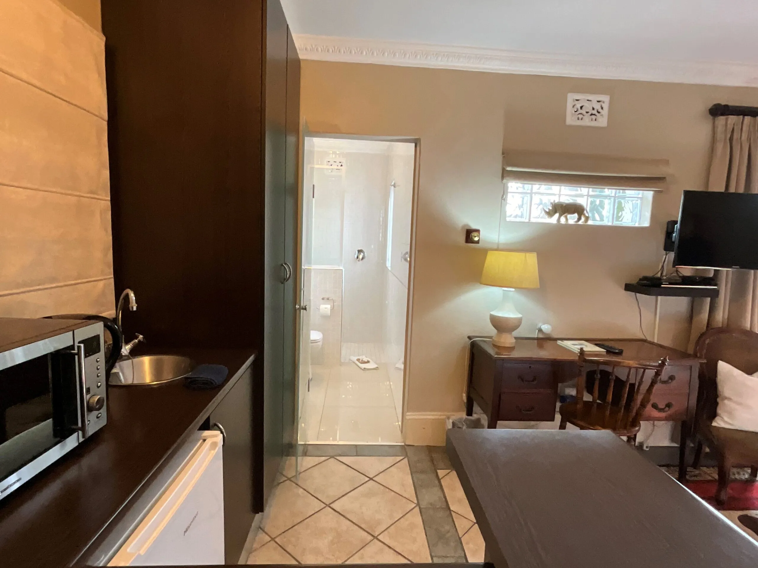 Studio apartment with kitchenette bathroom and living area with a cat outside