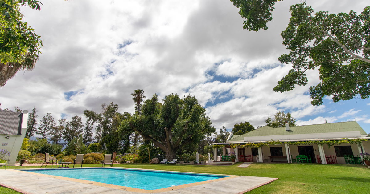 The Green Olive Guesthouse