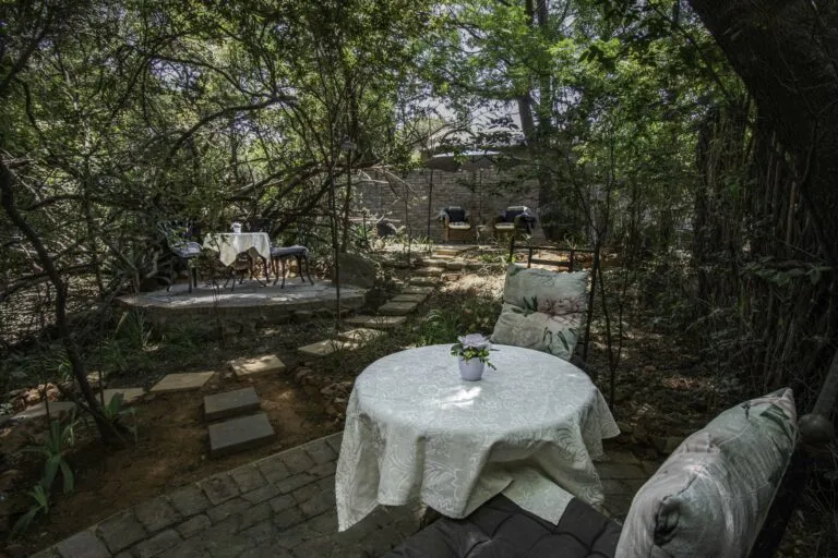 Outdoor dining area with tables and chairs in a lush wooded setting
