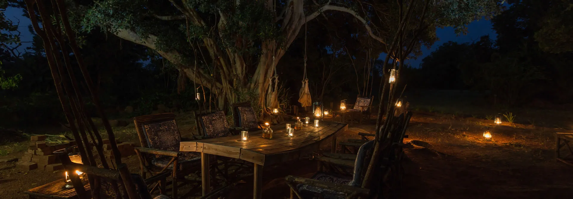 Outdoor dinner setup under a large tree with lanterns at night