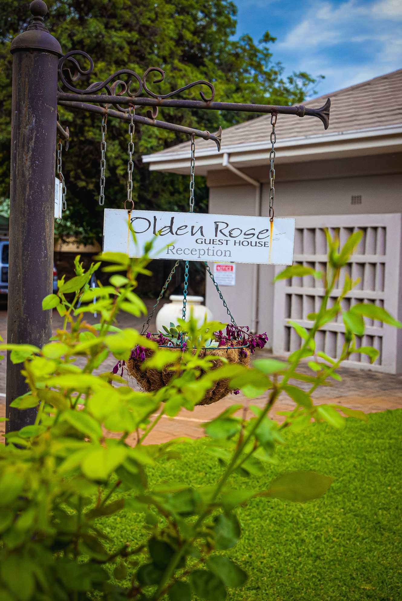 Olden Rose Guesthouse