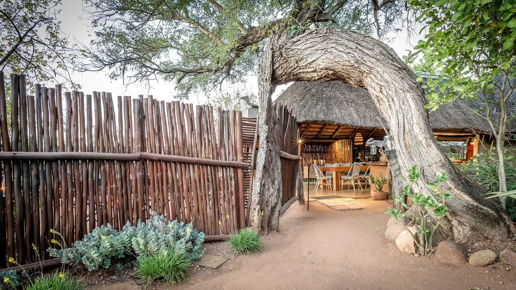 Wooden fence and large tree trunk near a thatchedroof structure in a garden