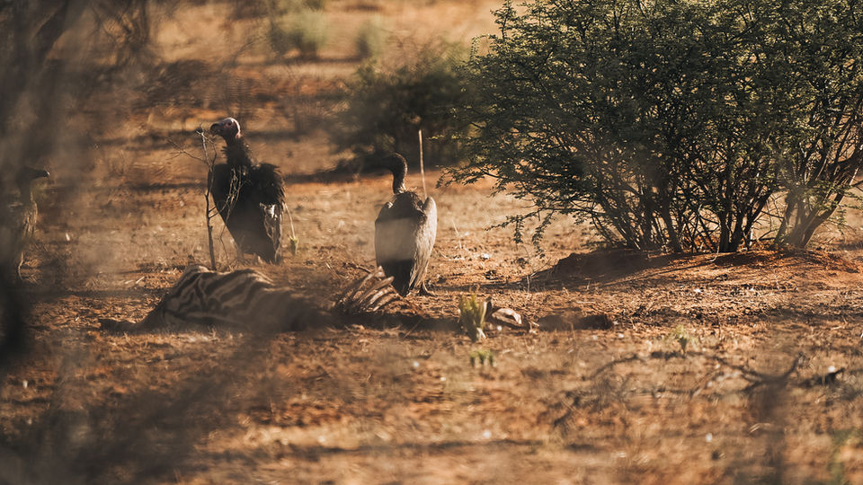 Otjimbondona Kalahari