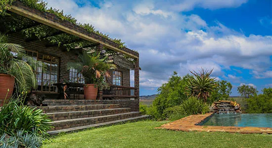 Modern house with patio plants and a swimming pool in a lush garden