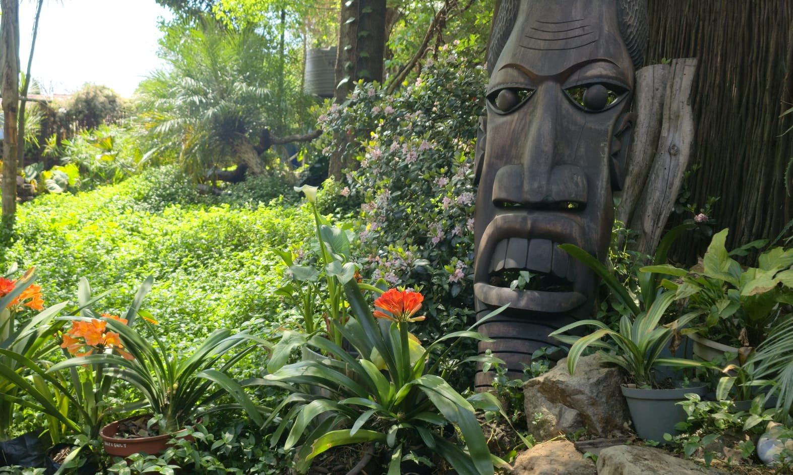 Breena BnB Guesthouse